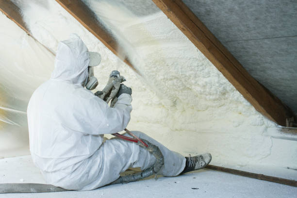 Best Basement Insulation  in Anchorage, AK